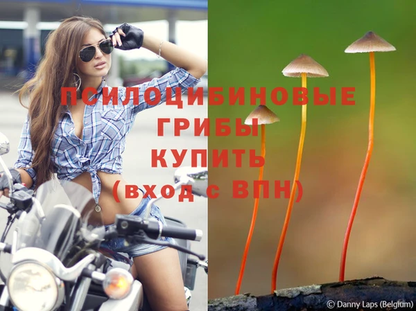 прущие крисы Костерёво