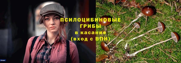первитин Коряжма