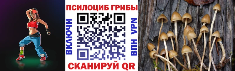 Псилоцибиновые грибы мицелий  Краснокамск 