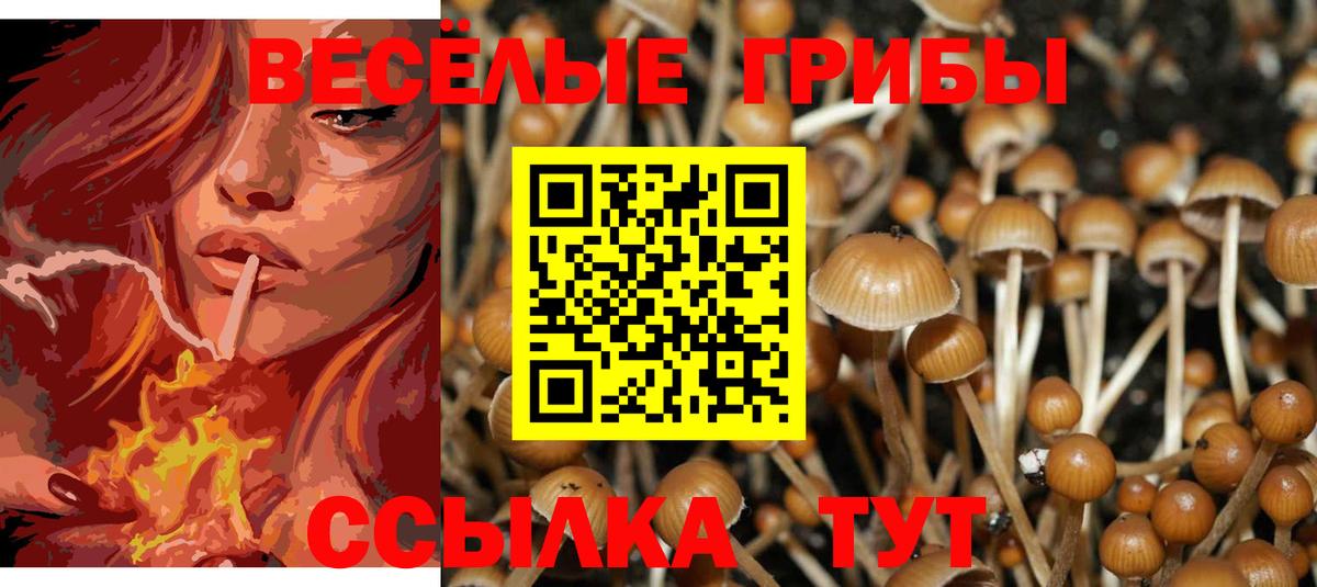 Краснокамск  Галлюциногенные грибы MAGIC MUSHROOMS  Вход с VPN 